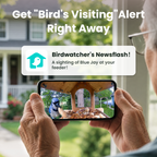Smart 2K Birdwatching Camera, Wide-Angle Feeder Companion with Bendable Mount for App-Connected Viewing source image 5