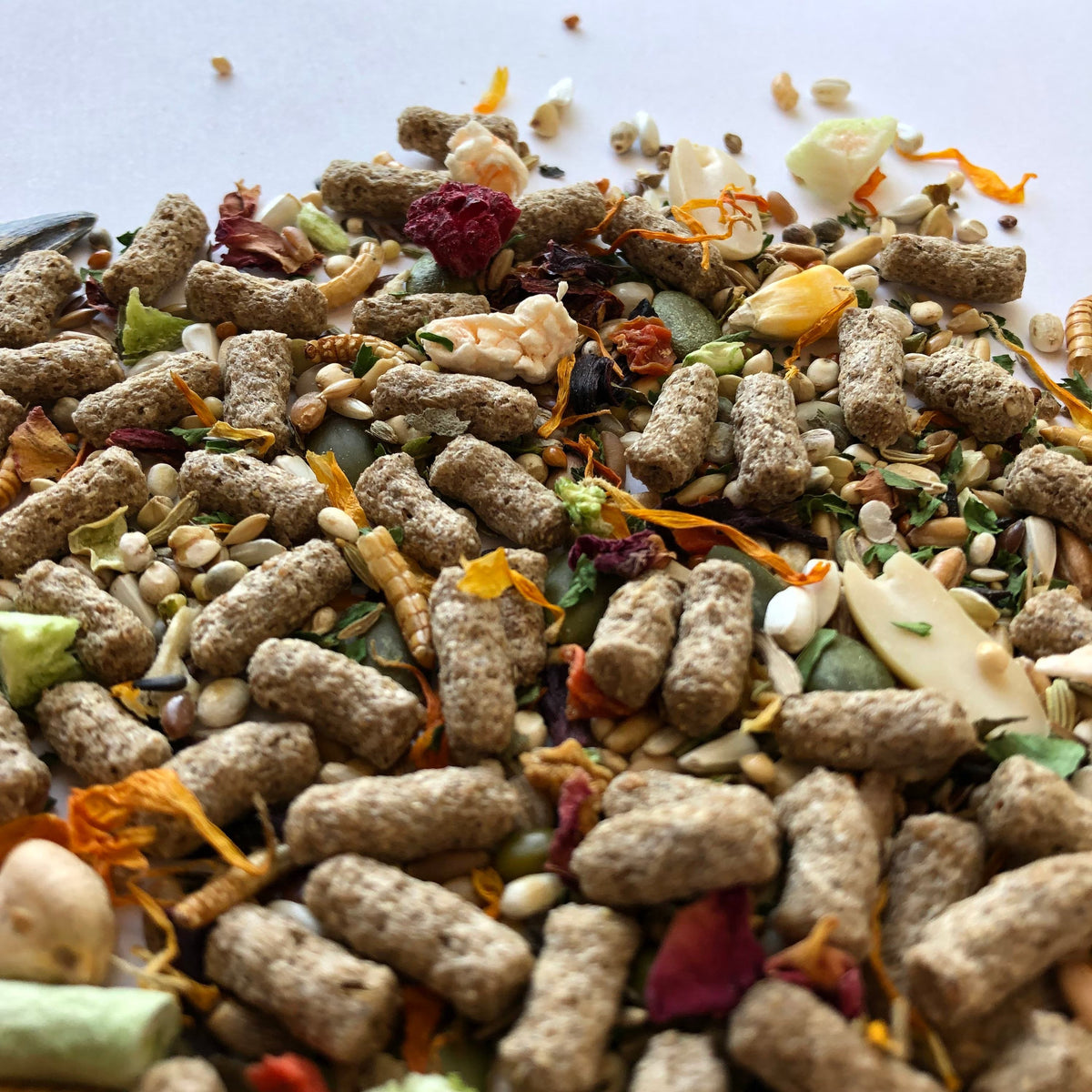 Syrian Hamster Food Mix, Age-Specific Young and Adult Recipes Featuring Seeds, Grains and Insects source image 5