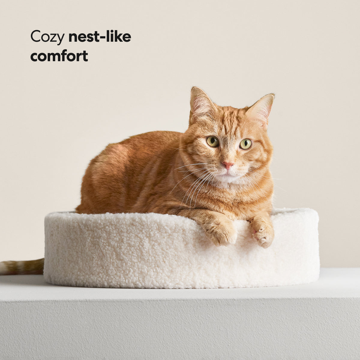 Nest-Shaped Cat Bed with Sculpted Foam Core and Faux Shearling Cover in Small, Wide or Two-Bed Set source image 5