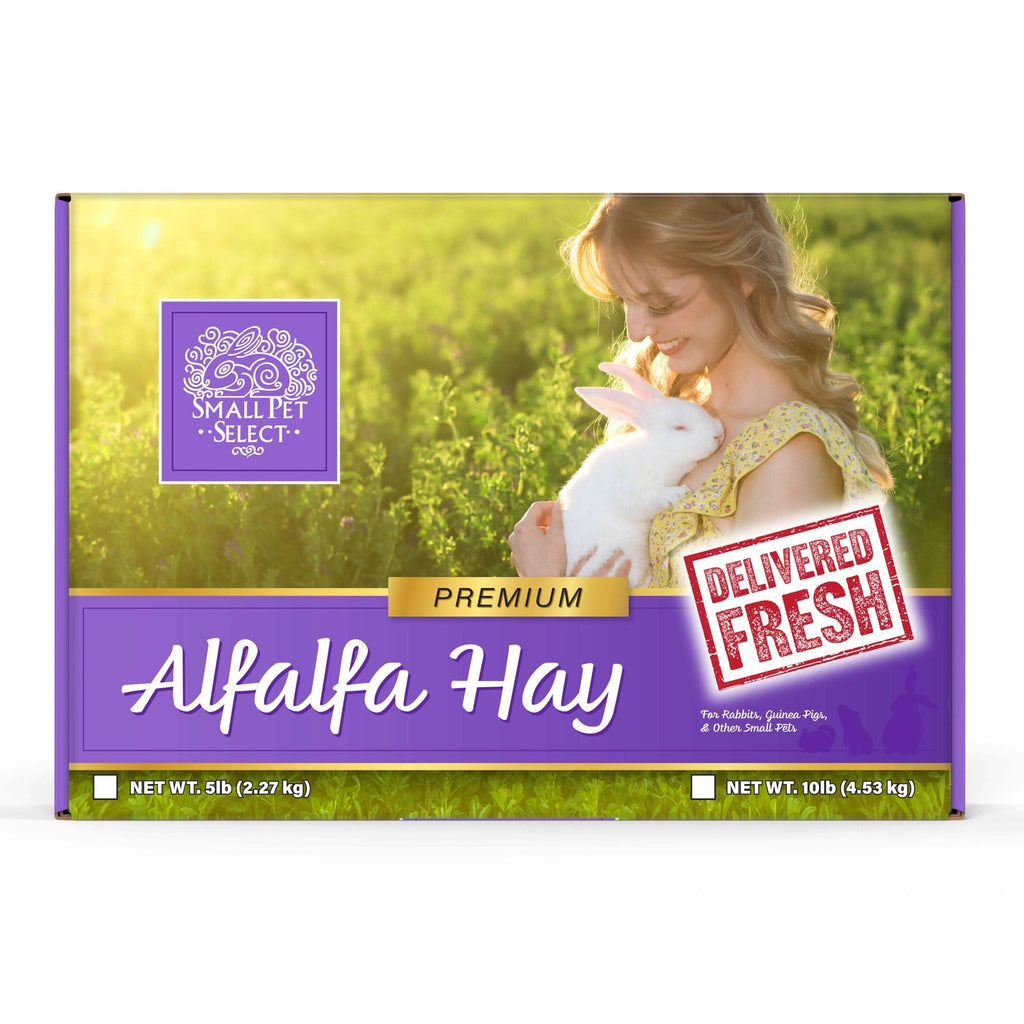Long-Strand Alfalfa Hay for Young Rabbits and Small Pets, Hand-Packed in 2, 5, 10 or 20 lb Boxes product image 5
