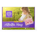 Long-Strand Alfalfa Hay for Young Rabbits and Small Pets, Hand-Packed in 2, 5, 10 or 20 lb Boxes product image 5