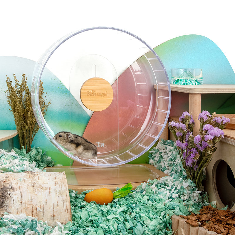 Super-Silent Hamster Exercise Wheel with Adjustable Height and Dual-Bearing Spinner in Four Sizes source image 5
