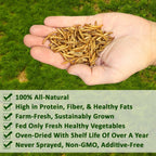 Dried Insect Poultry Feed, Mealworm and BSFL Foraging Supplement in Four Bulk Sizes for Chickens and Ducks source image 5