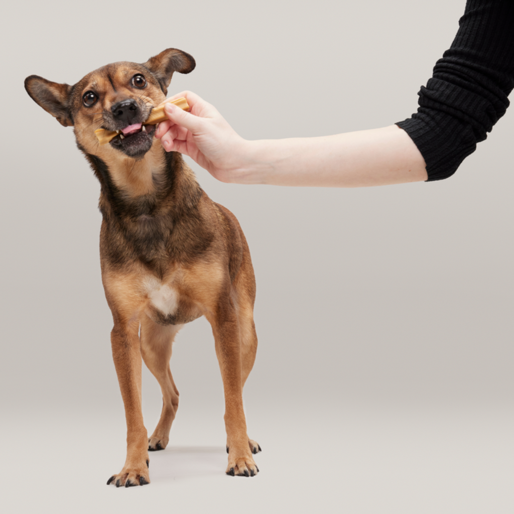 Dog Dental Chews, 30-Count Chicken Daily Treats with Scrubbing Ridges in Three Weight-Based Sizes source image 5
