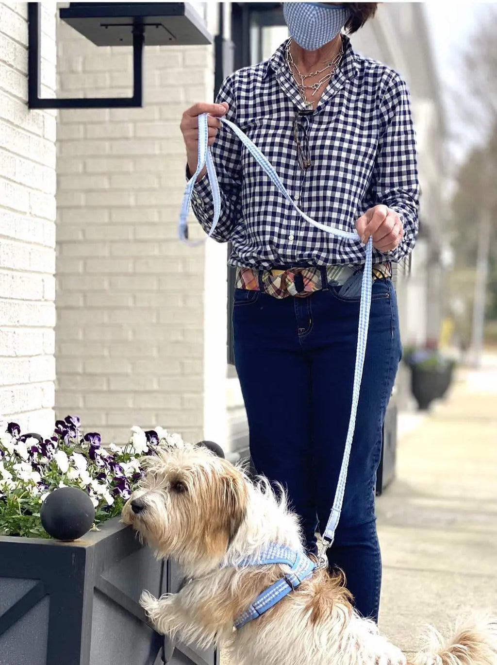 Gingham Step-In Dog Harness, Soft Adjustable Mesh Walking Vest in Five Colors for Dogs from 3 to 40 Pounds source image 5