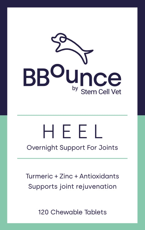 Dog Joint Supplement Bundle for Everyday Mobility, Collagen Formation and Bone Health Support at Home source image 5