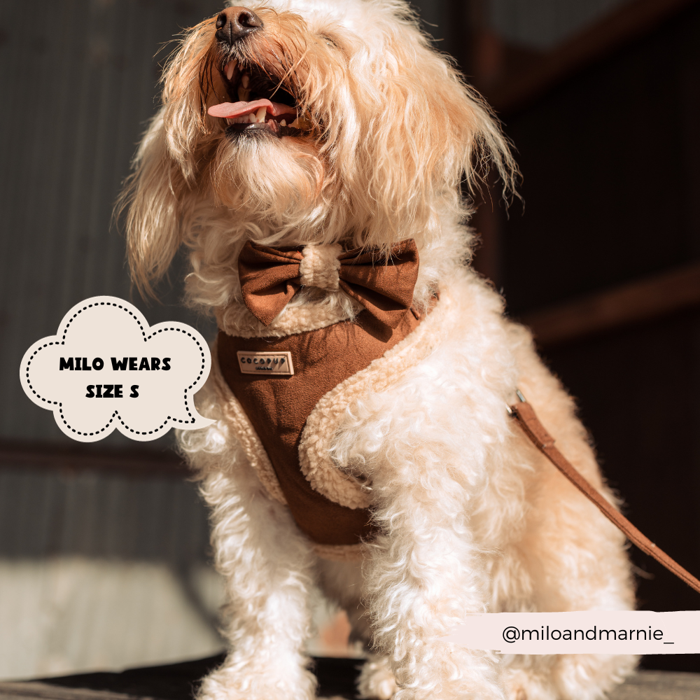 Adjustable Neck Dog Harness, Brown Faux Suede Walking Vest with Soft Fluffy Trim in XXS to Large Sizes source image 5