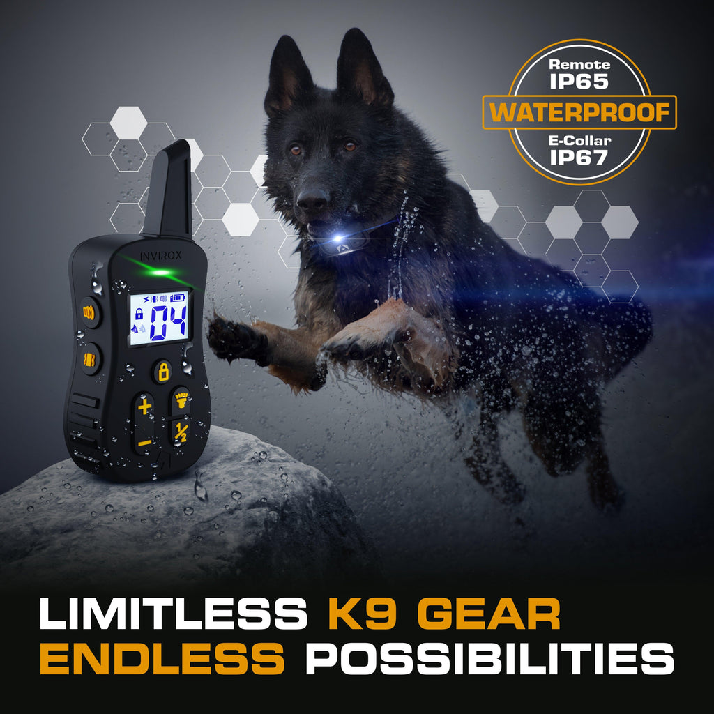 Remote Dog Training Collar for Long-Range Sessions, Waterproof Receiver with 124 Adjustable Levels source image 5