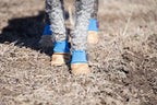 Water-Resistant Dog Booties, One Pair with Leather Soles and Neoprene Uppers for All-Weather Walks source image 5