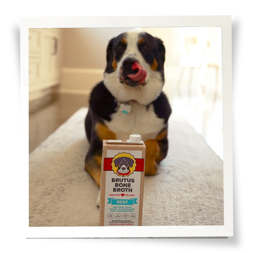 Beef Bone Broth Meal Topper for Dogs, All-Natural Superfood Support in Two-Pack or Six-Pack Sizes source image 5