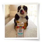 Beef Bone Broth Meal Topper for Dogs, All-Natural Superfood Support in Two-Pack or Six-Pack Sizes source image 5