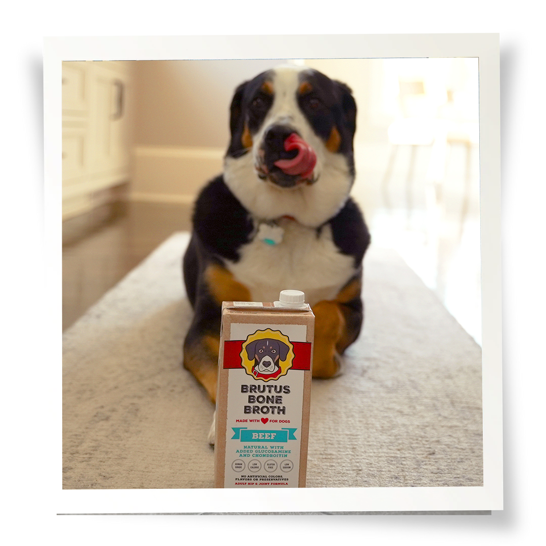 Beef Bone Broth Meal Topper for Dogs, All-Natural Superfood Support in Two-Pack or Six-Pack Sizes source image 5