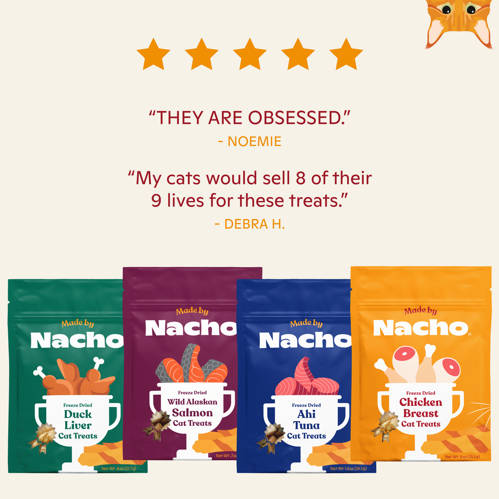 Freeze-Dried Chicken Cat Treats and Meal Topper, Pure Protein Breast Bites for Wet or Dry Food source image 5