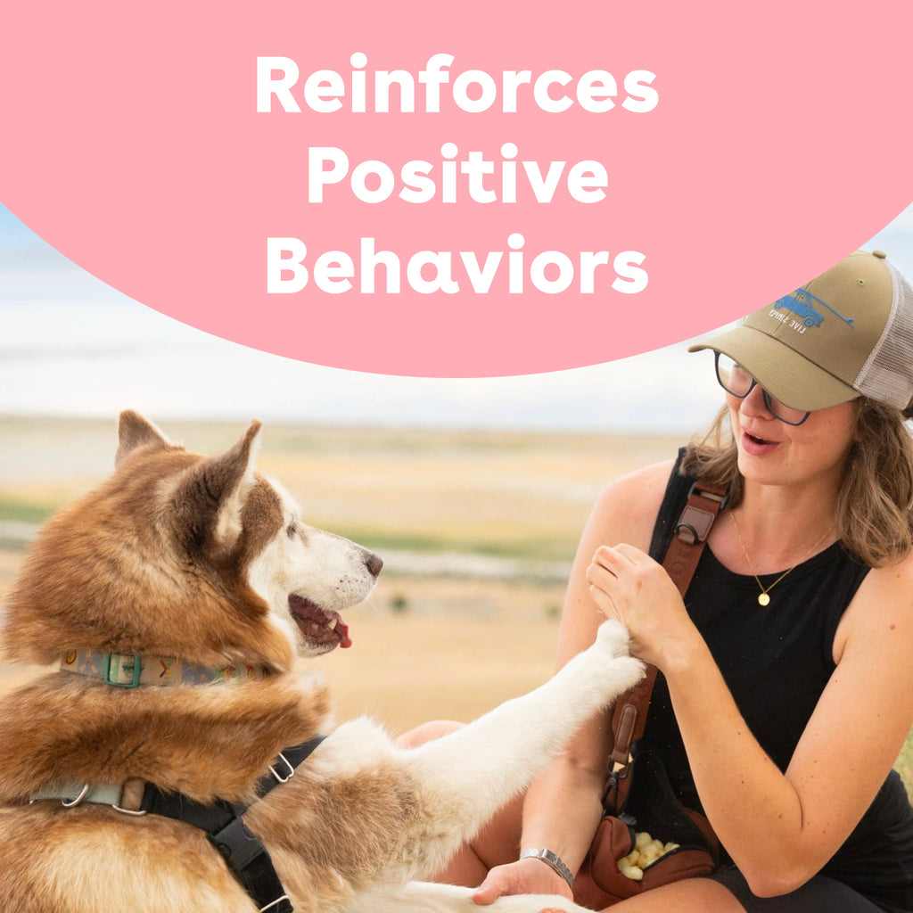 Freeze-Dried Rabbit Dog Training Treats, Low-Calorie Crunchy Rewards in Four Package Sizes source image 5