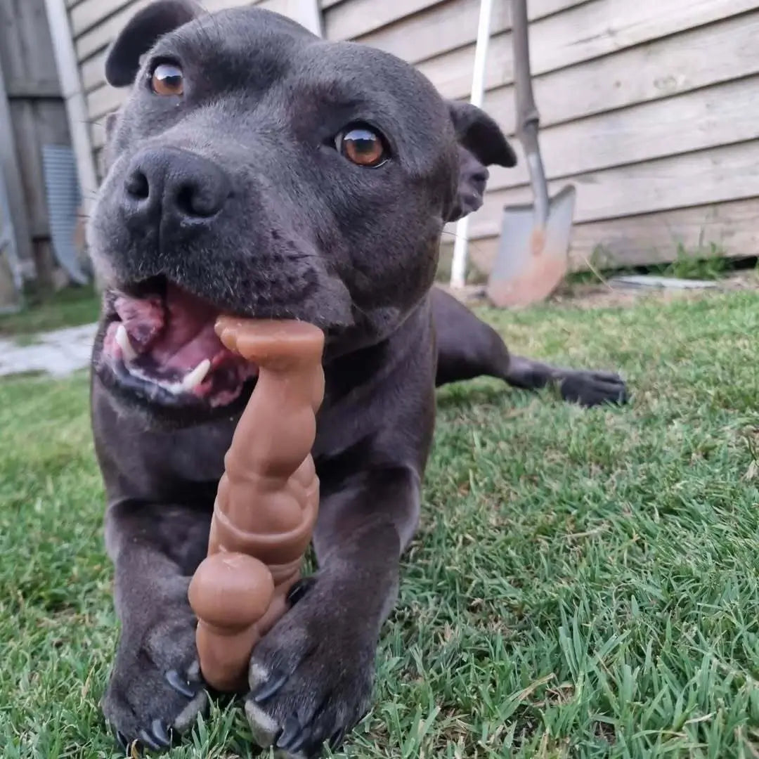 Nylon Dog Chew Toy with a Textured Solid Body, Squeaker-Free Enrichment for Supervised Power Chewing source image 5