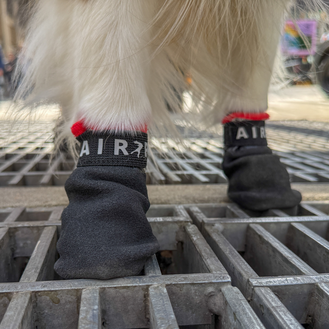 Flexible Dog Booties, Set of Four Water-Resistant Paw Protectors for Hot Pavement, Trails and Winter Walks source image 5