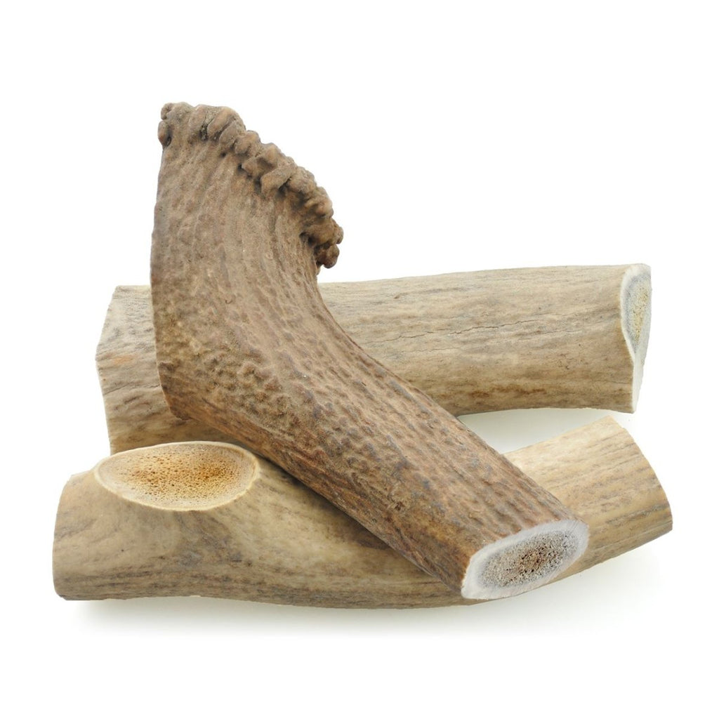 Large Whole Elk Antler Dog Chew, Naturally Shed Eight-Inch Treat for Powerful Chewers and Long-Lasting Play source image 5