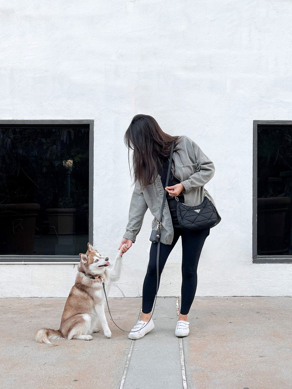 Hands-Free Dog Leash, Four-Way Convertible Crossbody and Waist Design in Standard or Wide Webbing source image 5