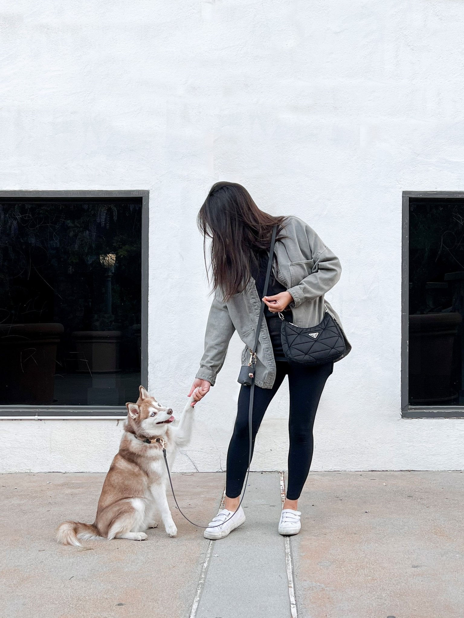 Hands-Free Dog Leash, Four-Way Convertible Crossbody and Waist Design in Standard or Wide Webbing source image 5