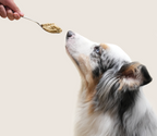 Grass-Fed Beef Fresh Dog Food, Gently Cooked Human-Grade Recipe in Frozen Thaw-and-Serve Pouches source image 5