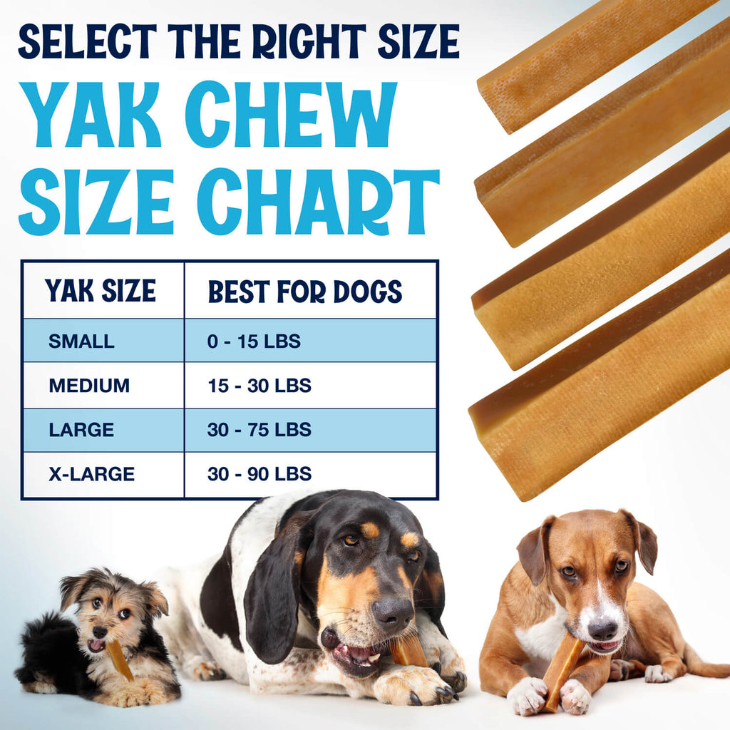 Himalayan Yak Cheese Dog Chews, Three-Ingredient Long-Lasting Milk Sticks in 3-Pack, 5-Pack or 3 lb Sizes source image 5