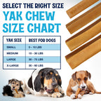 Himalayan Yak Cheese Dog Chews, Three-Ingredient Long-Lasting Milk Sticks in 3-Pack, 5-Pack or 3 lb Sizes source image 5