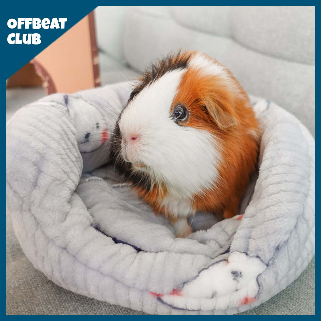 Guinea Pig Plush Play Set for Daily Hideaway and Rest Time, Three-Piece Package in Pink or Gray source image 5