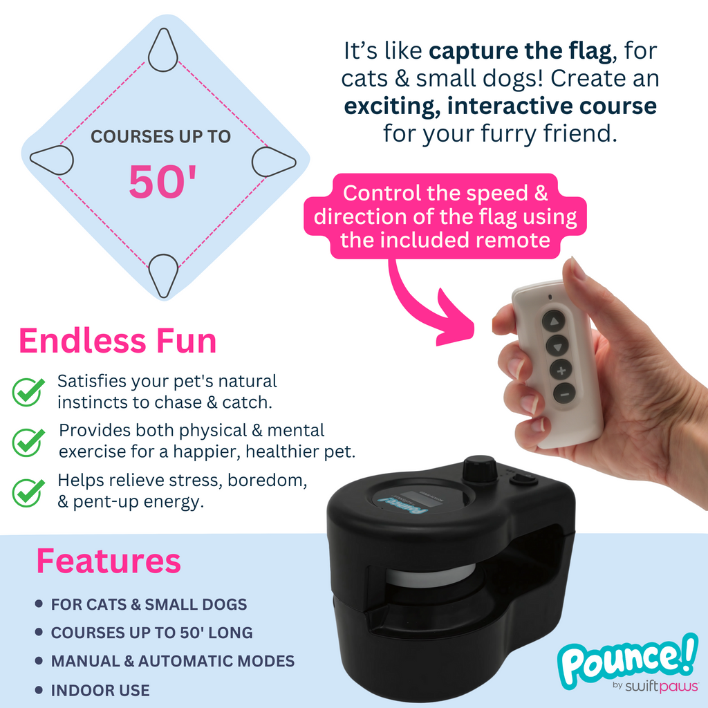 Indoor Pet Lure Course for Cats and Small Dogs, Automatic 10-Minute Play, USB-C Power and Magnetic Pulleys source image 5