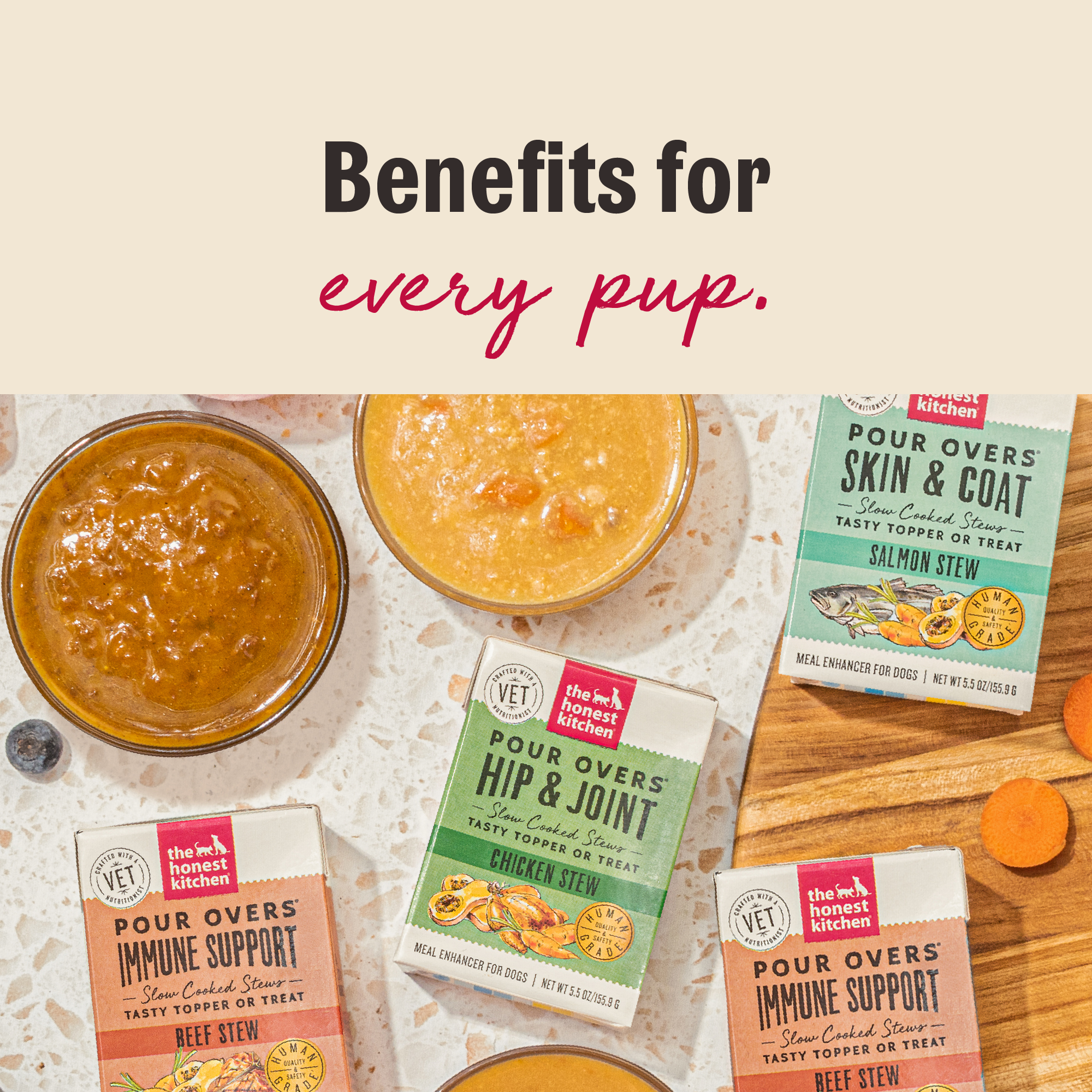 Salmon Stew Dog Food Topper for Skin and Coat Support, 12 Pack of 5.5 oz Pour-Over Cartons source image 5
