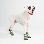 Green Waterproof Dog Rain Boots, Reflective Fleece-Lined Paw Protection for Snow, Salt and Mud source image 5