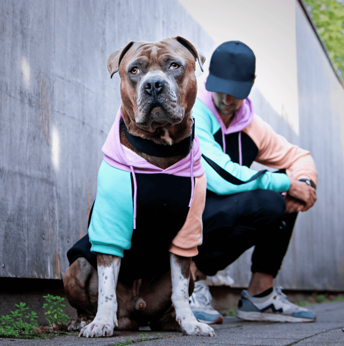 Color Block Fleece Hoodie for Adults with Four-Way Stretch and Eight Coordinated Designs for Pet Matching product image 5