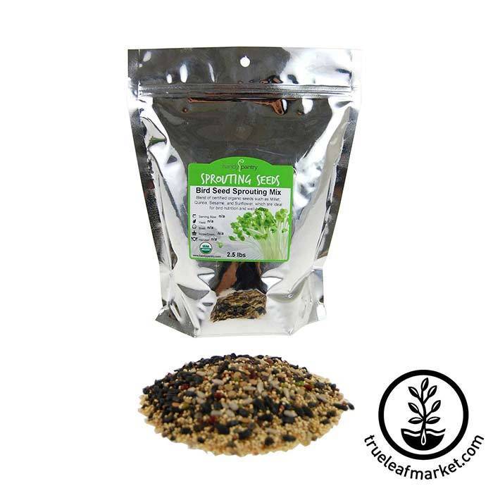 Organic Bird Seed Sprouting Mix of 12 Seeds and Grains, Packaged from 1 lb Bags to 35 lb Buckets source image 5