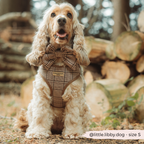 Adjustable Plaid Dog Harness for Comfortable Walks, Lightweight Polyester Design in Five Sizes source image 5