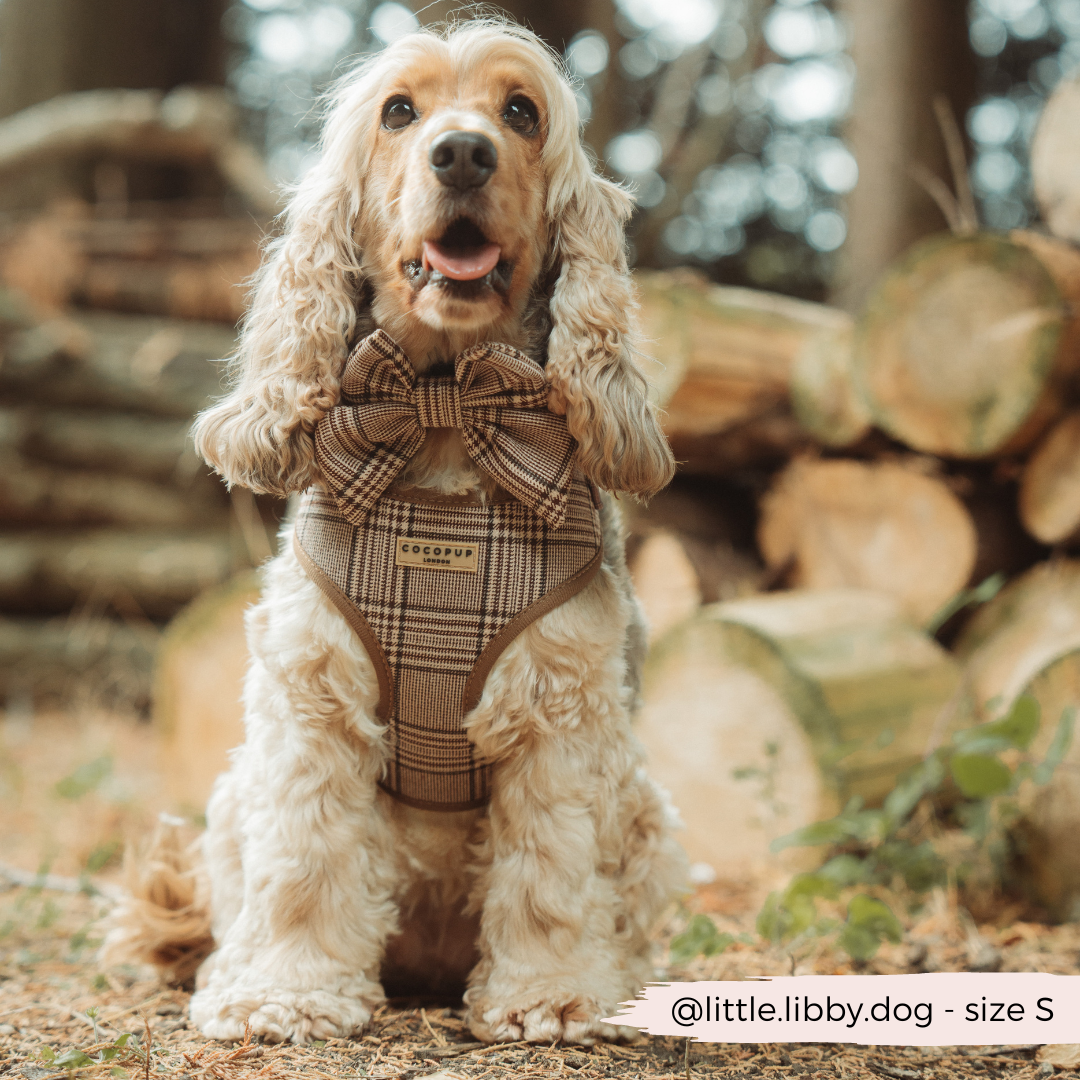 Adjustable Plaid Dog Harness for Comfortable Walks, Lightweight Polyester Design in Five Sizes source image 5