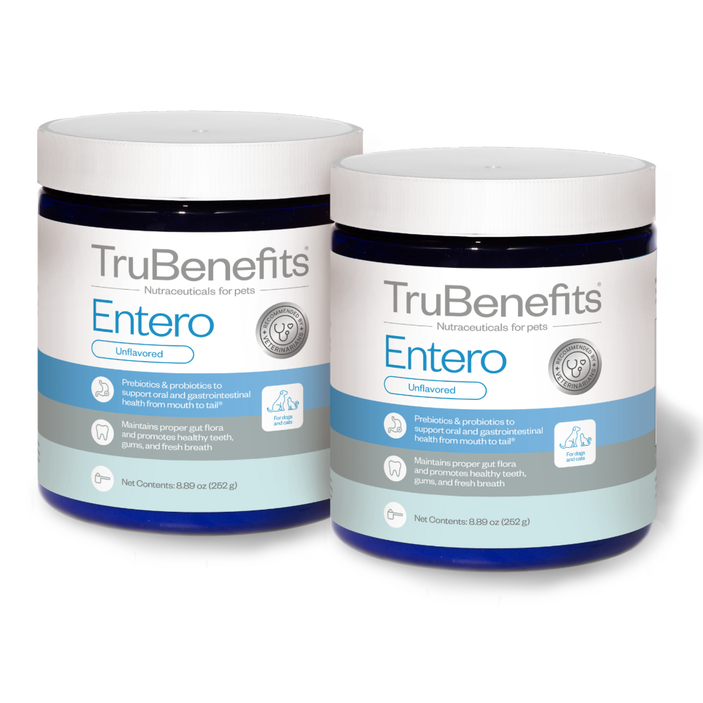 Dog and Cat Probiotic Supplement for Daily Oral and Digestive Support in Weight-Based Multi-Pack Sizes source image 5