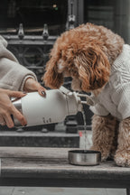 3-in-1 Dog Travel Water Bottle with 32 oz Reservoir and Two Detachable Bowls in Three Colors source image 5