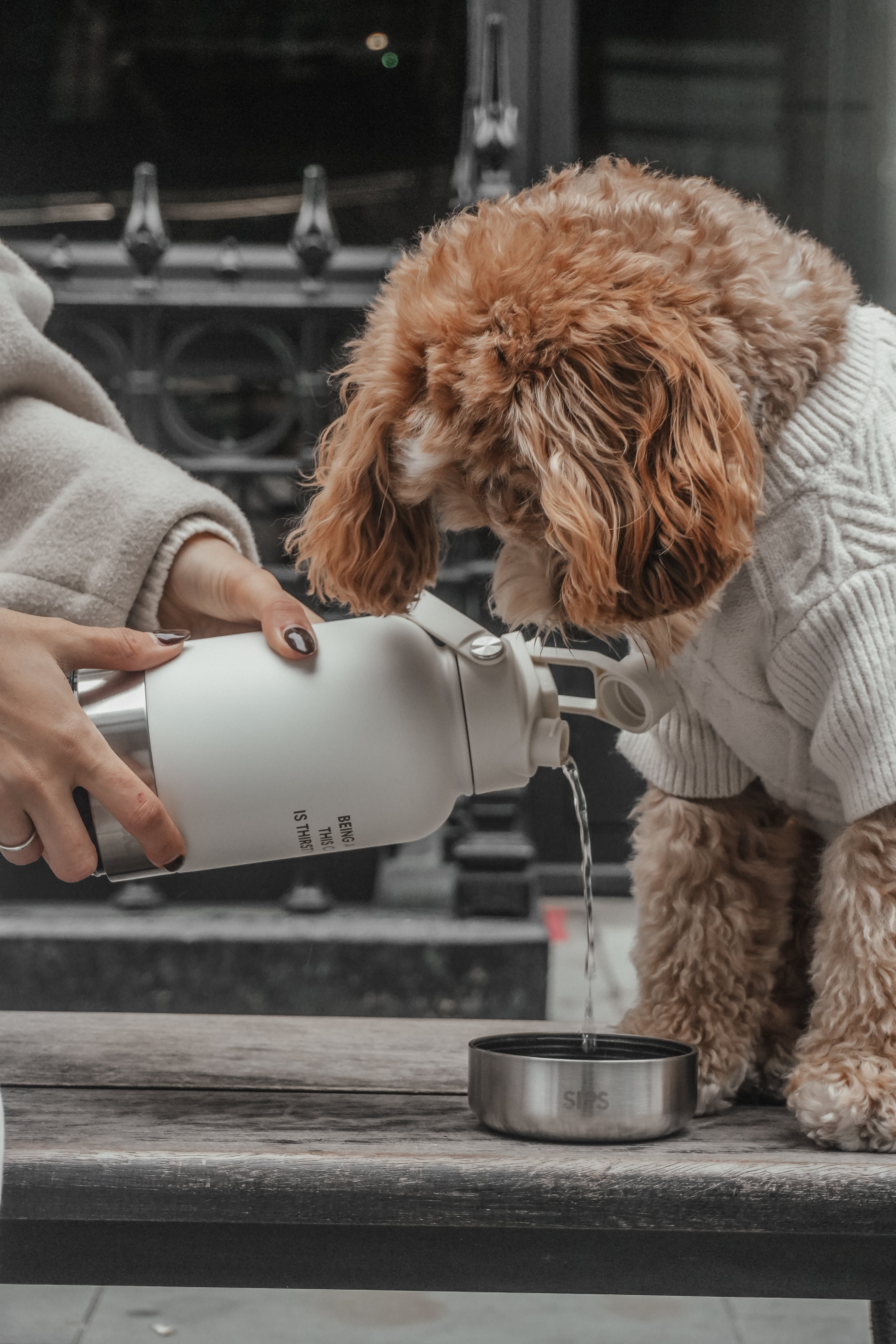 3-in-1 Dog Travel Water Bottle with 32 oz Reservoir and Two Detachable Bowls in Three Colors source image 5