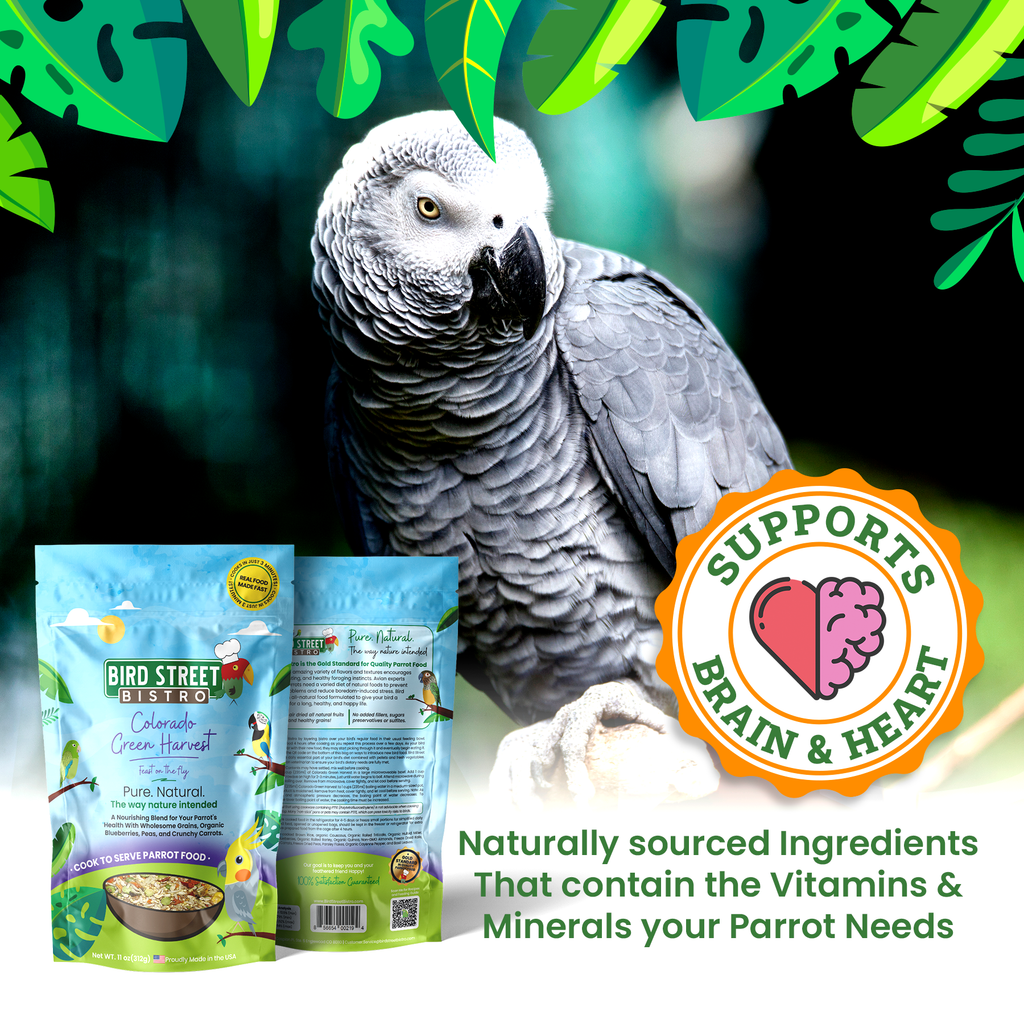 Cookable Parrot Food Blend, Three-Minute Whole-Grain Recipe Featuring Fruit and Vegetables for Daily Feeding source image 5
