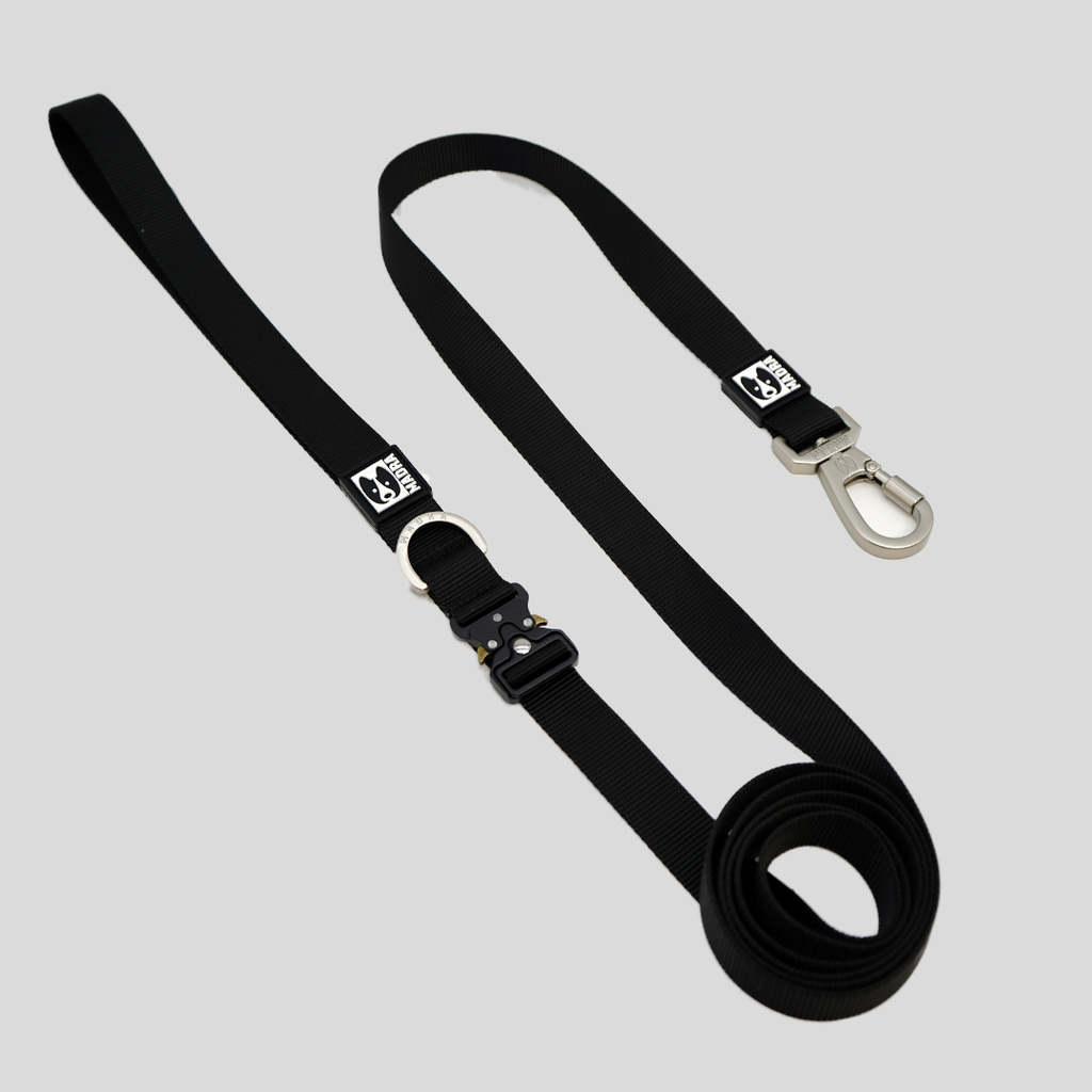 Hands-Free Dog Leash for Waist or Crossbody Wear, Adjustable 2.2 m City Lead with Locking Clasp source image 5