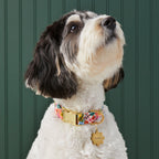 Garden Party Floral Cotton Dog Collar, Reinforced Webbing and Brass D-Ring in Four Adjustable Neck Sizes source image 5