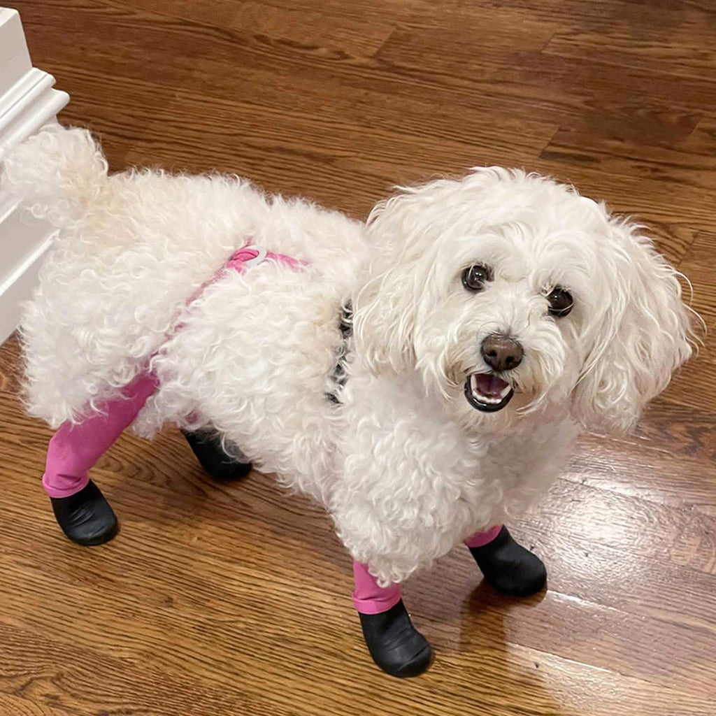 Waterproof Dog Boot Leggings for Winter Walks, Seam-Free TPE Paw Covers and Full-Leg Protection source image 5