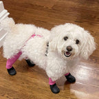 Waterproof Dog Boot Leggings for Winter Walks, Seam-Free TPE Paw Covers and Full-Leg Protection source image 5