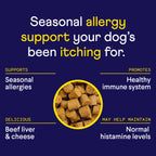 Dog Allergy and Digestive Supplement Bundle, Soft Chews for Seasonal Comfort and Everyday Gut Support source image 5