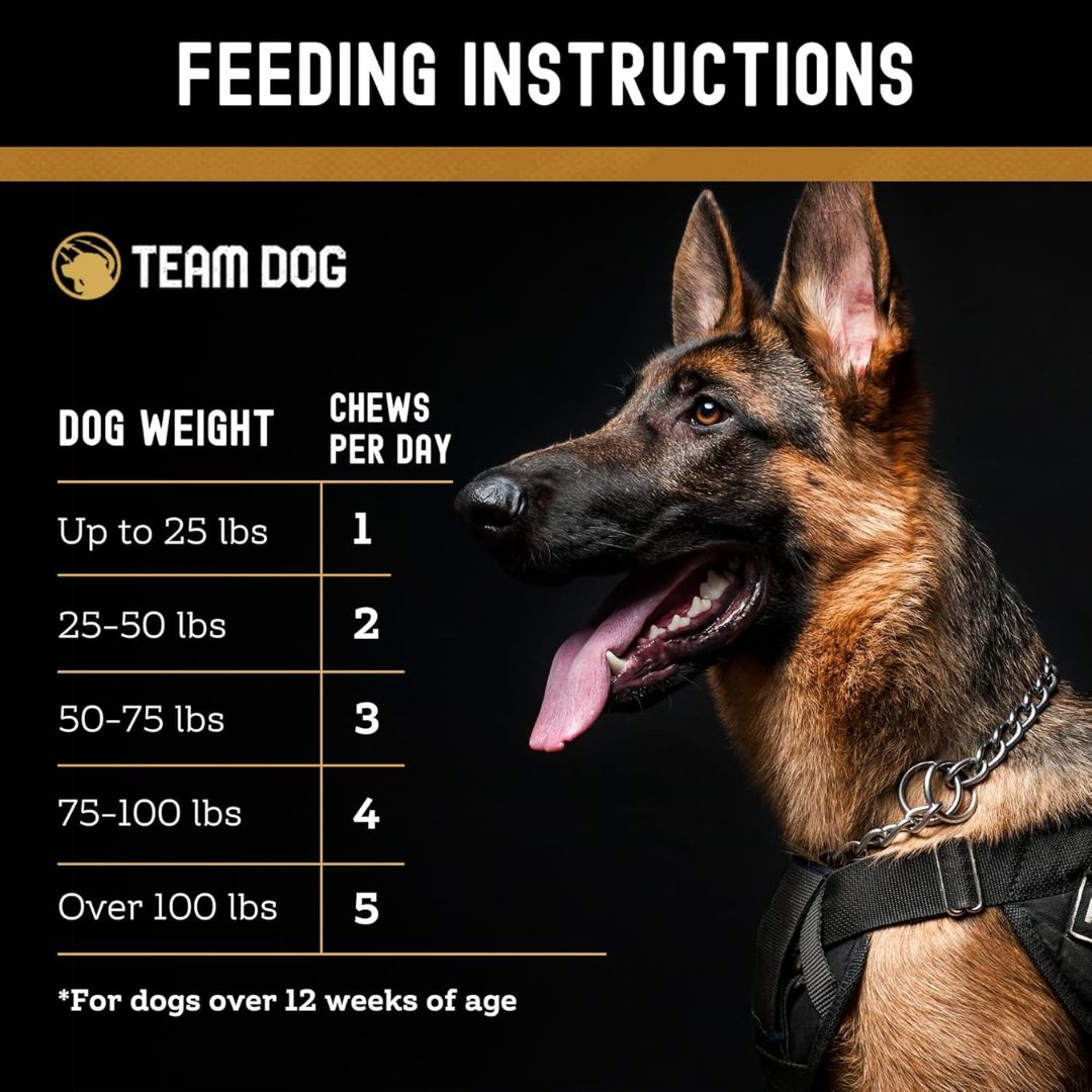 Dog Digestive and Probiotic Soft Chews, 120 Count with Enzyme Blend and Two Billion CFUs per Chew source image 5