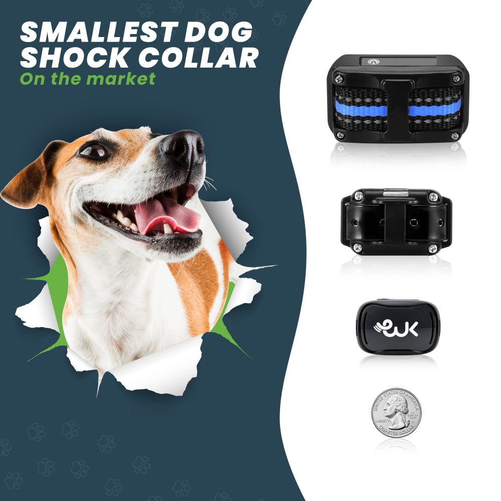 Rechargeable Remote Training Collar for Small Dogs, 1,000-Foot Range plus Tone, Vibration and Static Modes source image 5