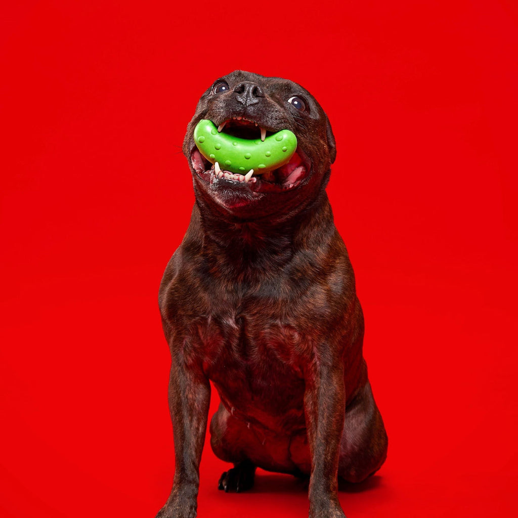 Natural Rubber Pickle Dog Toy for Gnawing and Fetch Play, Squeaky Wobble Design in Three Sizes source image 5