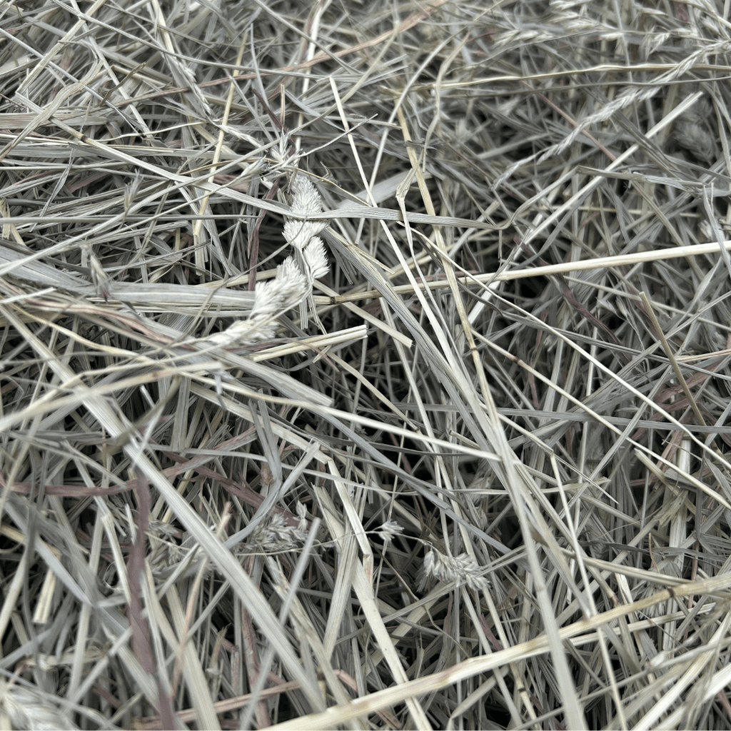 First-Cutting Timothy and Orchard Grass Hay Blend, Hand-Packed High-Fiber Feed in Six Bag Sizes source image 5