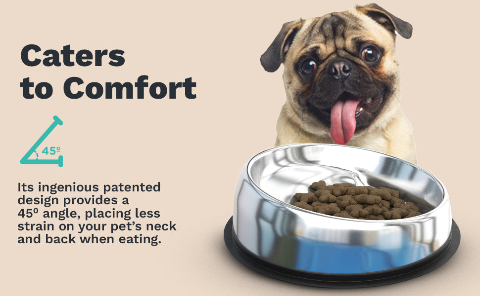 Angled Stainless Steel Pet Bowl for Flat-Faced Dogs and Cats, Three Capacities with Optional Stand source image 5