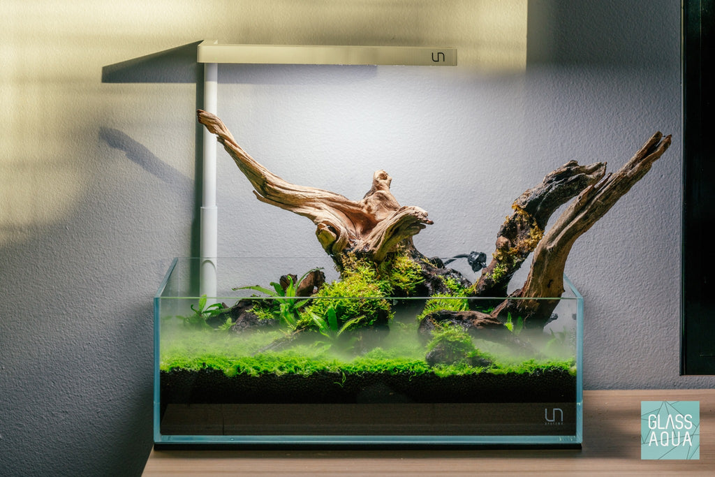 Rimless Shallow Aquarium Tank, Low-Iron Open-Top Design for Planted or Reef Aquascapes from 0.5 to 68.4 Gallons source image 5