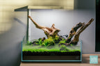 Rimless Shallow Aquarium Tank, Low-Iron Open-Top Design for Planted or Reef Aquascapes from 0.5 to 68.4 Gallons source image 5